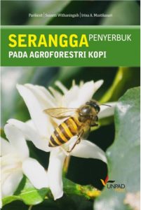 Serangga
